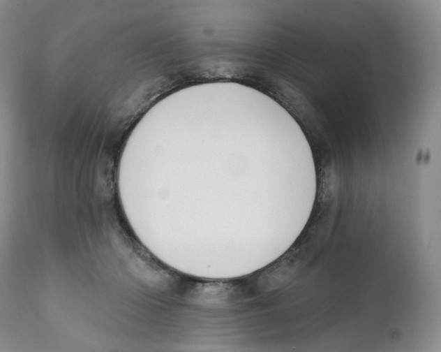 X0000111890414200908201326