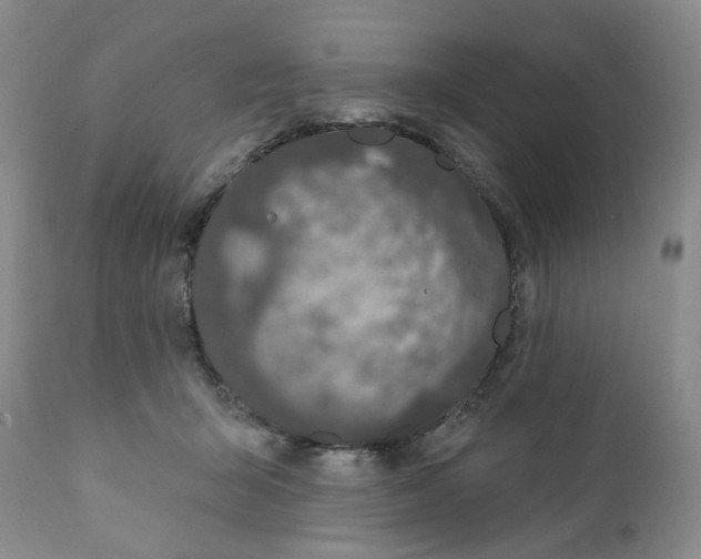 X0000111890415200908201326