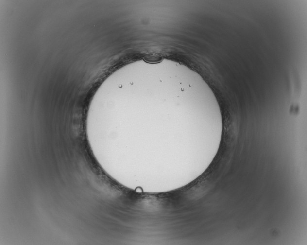 X0000111890416200908201326