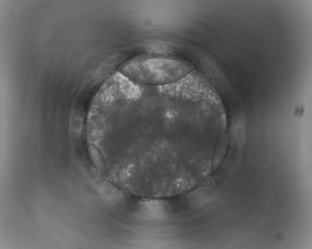 X0000111890417200908201326