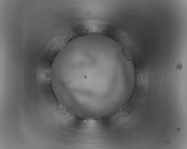 X0000111890419200908201326