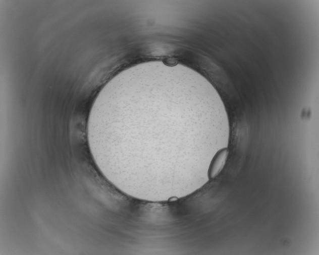 X0000111890421200908201326