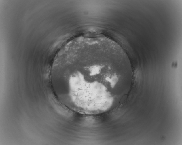 X0000111890423200908201326