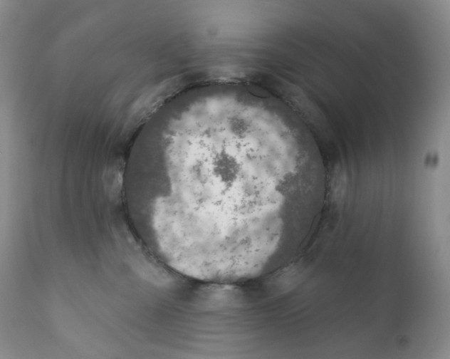 X0000111890427200908201326