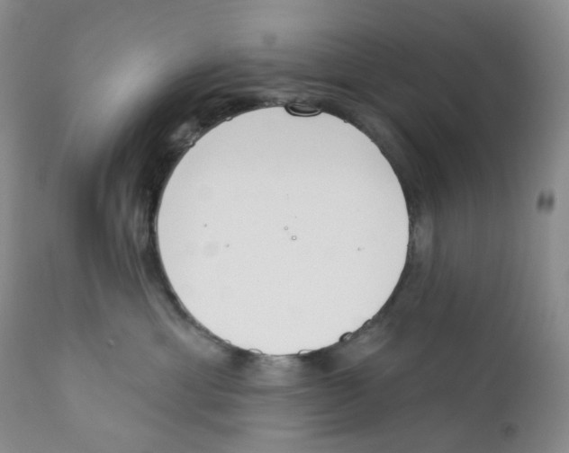 X0000111890429200908201326