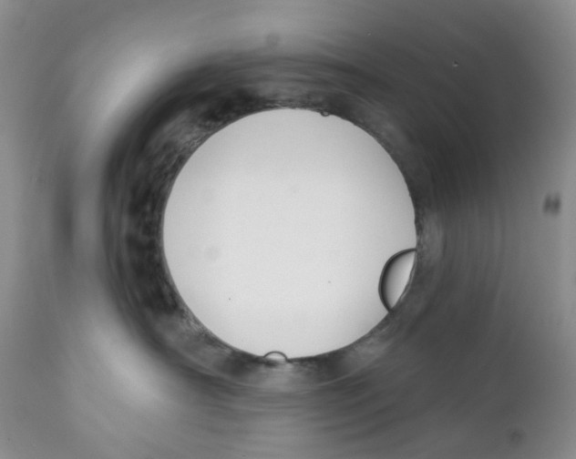 X0000111890430200908201326