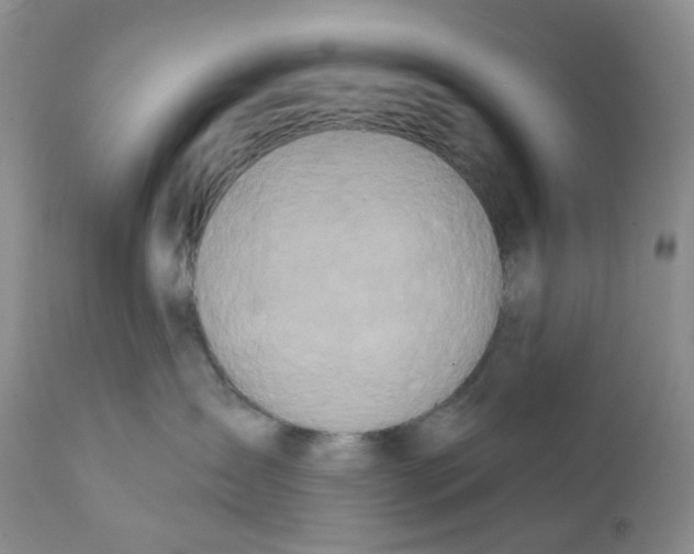 X0000111890431200908201325