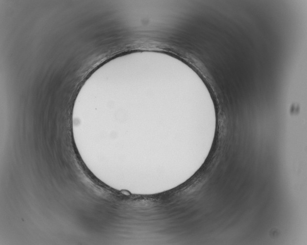 X0000111890433200908201325