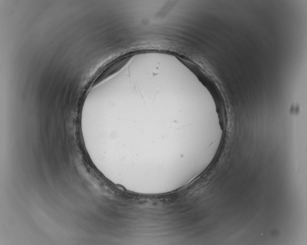 X0000111890434200908201325