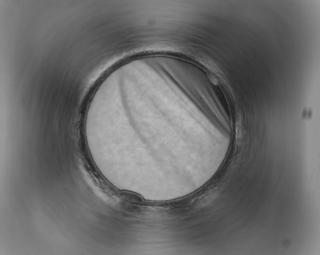 X0000111890436200908201325