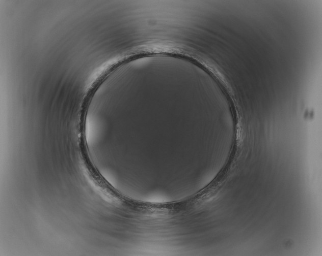 X0000111890438200908201325