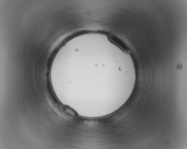 X0000111890440200908201325