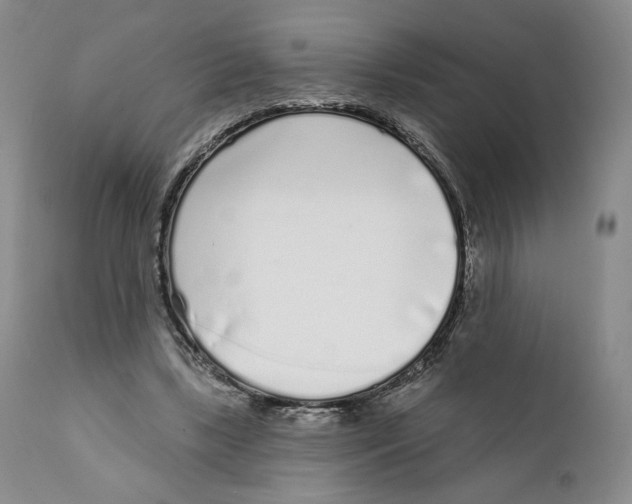 X0000111890443200908201325