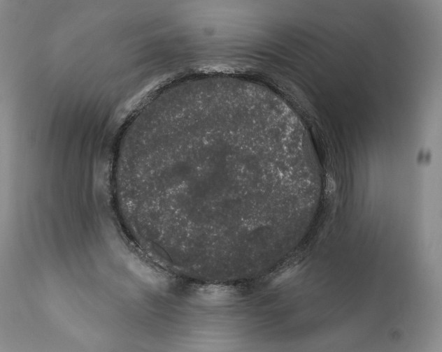 X0000111890444200908201325