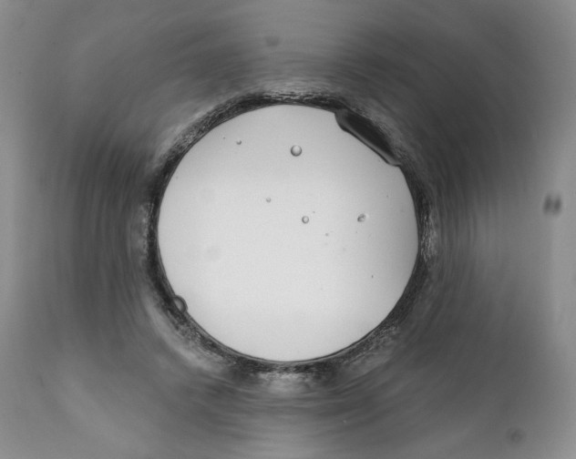 X0000111890448200908201325