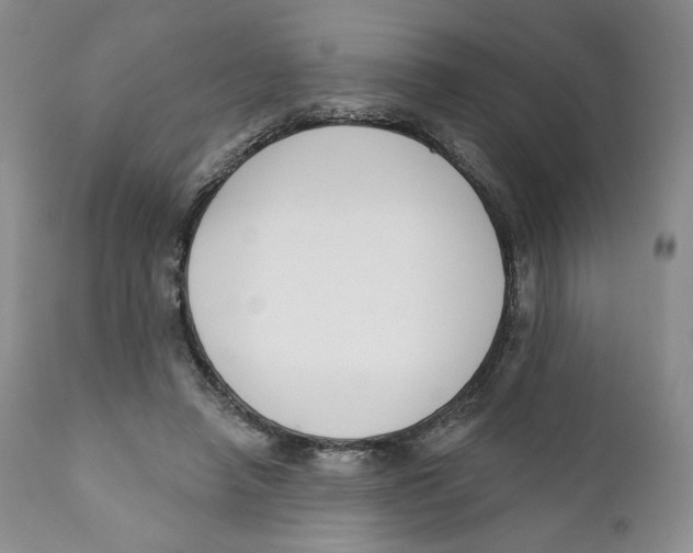 X0000111890450200908201325