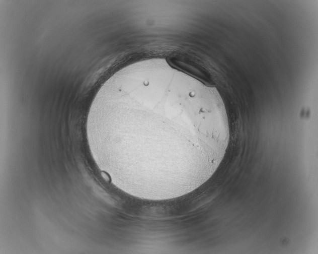 X0000111890452200908201325