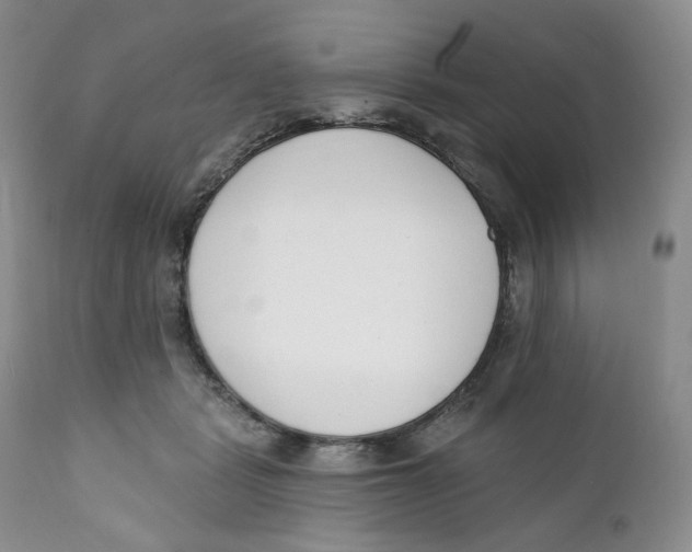 X0000111890461200908201325