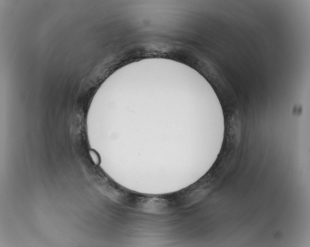 X0000111890463200908201325