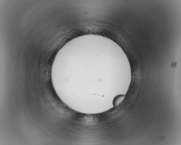 X0000111890464200908201325