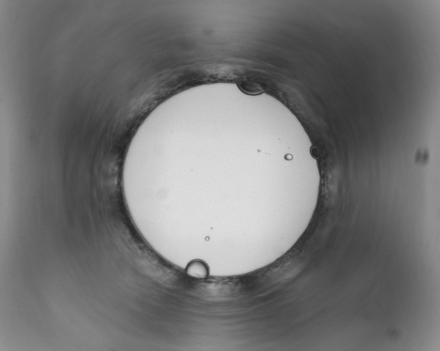 X0000111890466200908201325