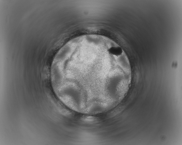 X0000111890467200908201325