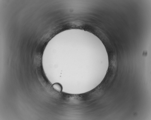 X0000111890468200908201325