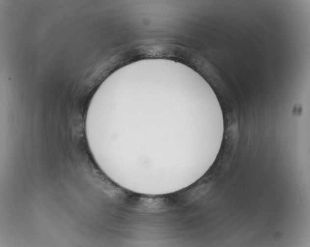 X0000111890469200908201325