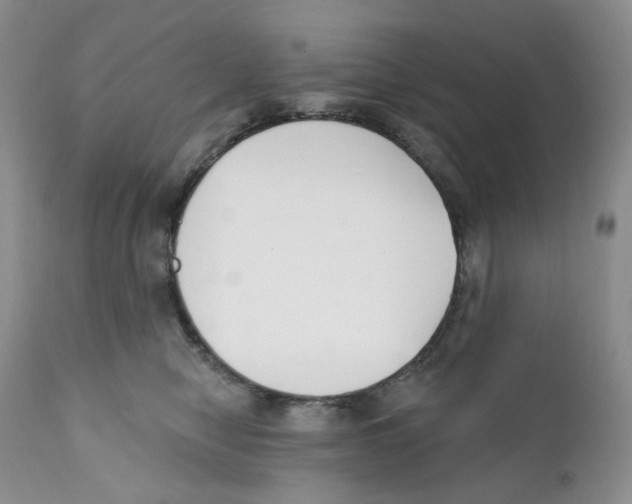 X0000111890470200908201325