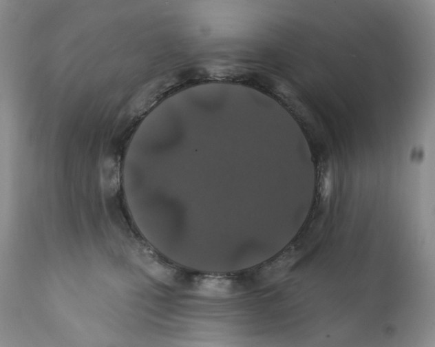 X0000111890471200908201325