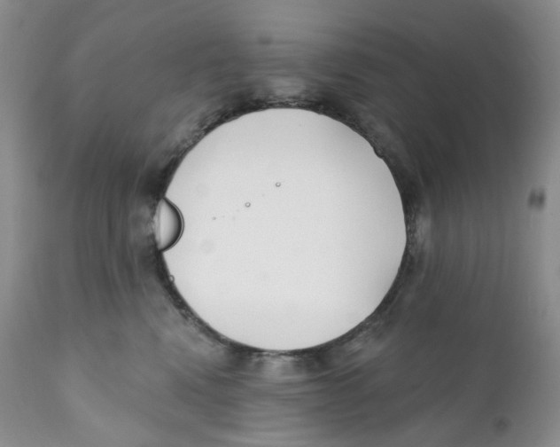 X0000111890472200908201325