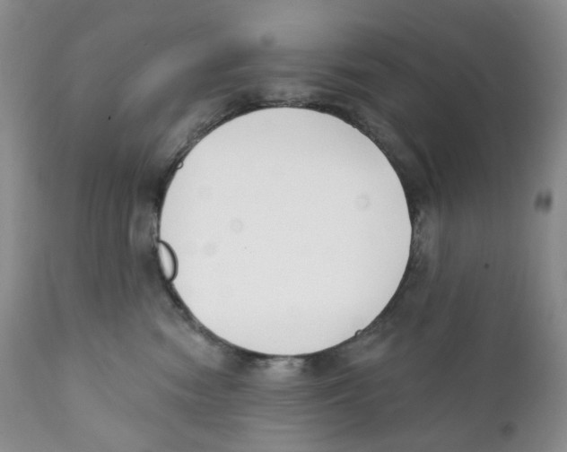 X0000111890474200908201325