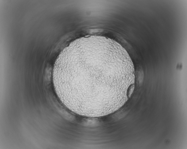 X0000111890475200908201325