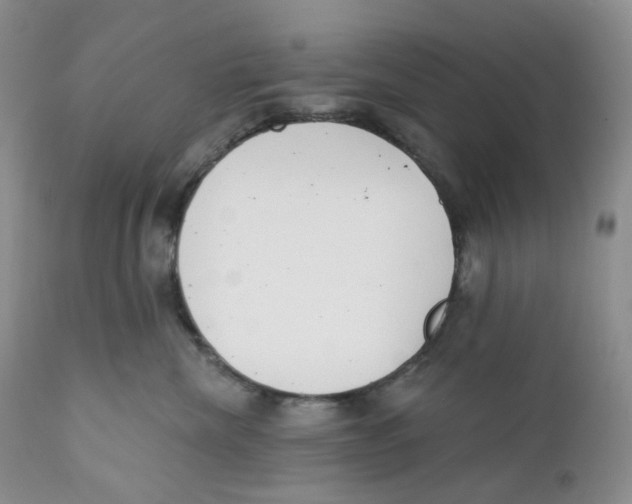 X0000111890476200908201325