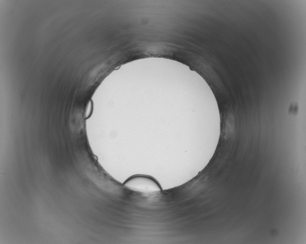 X0000111890478200908201325