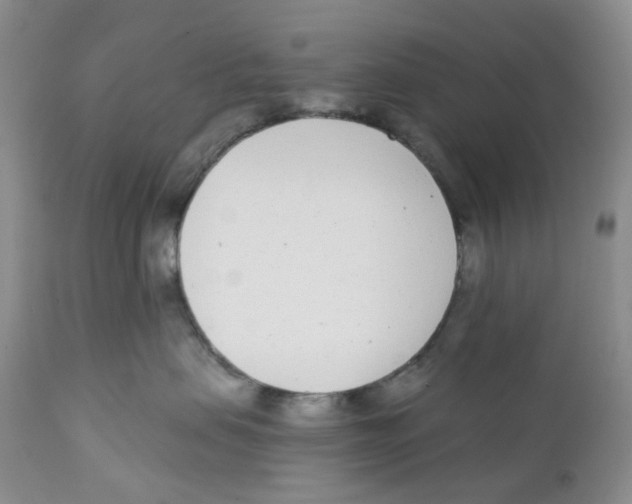 X0000111890479200908201325