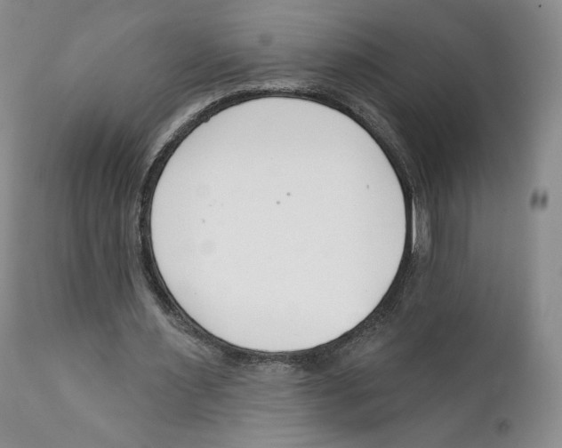 X0000111890483200908201325