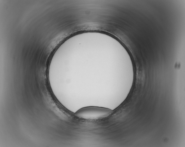 X0000111890485200908201325