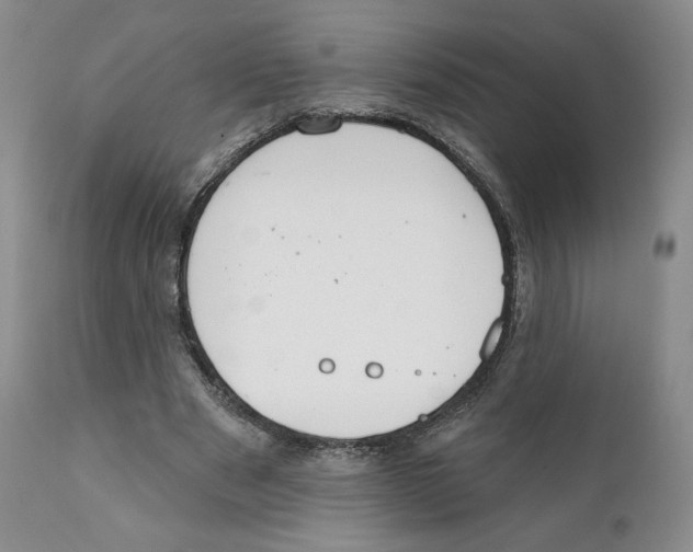 X0000111890489200908201325