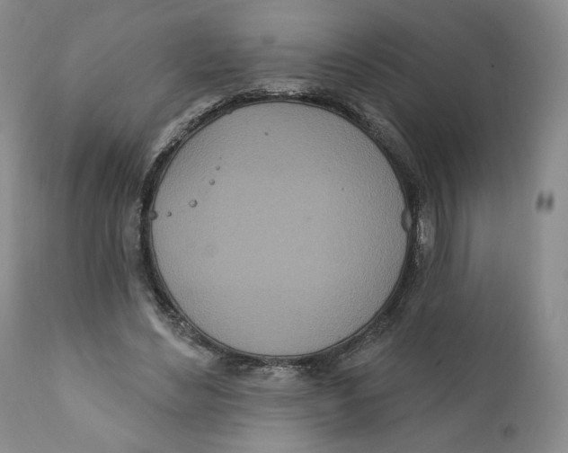 X0000111890492200908201324