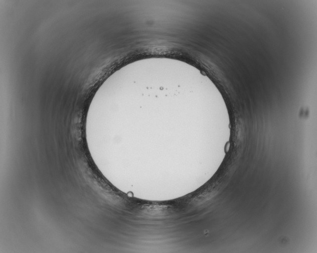 X0000111890497200908201324