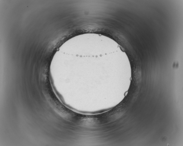 X0000111890499200908201324