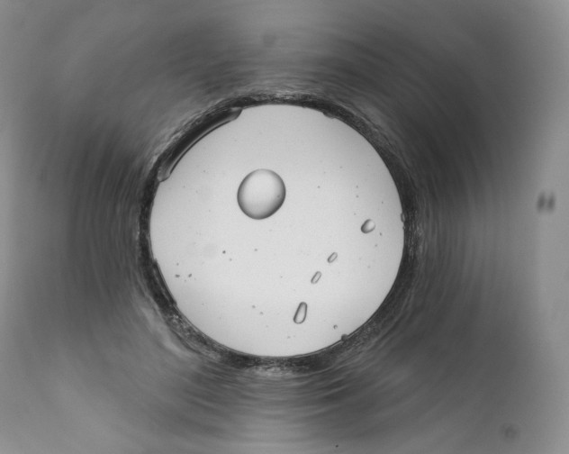 X0000111890500200908201324