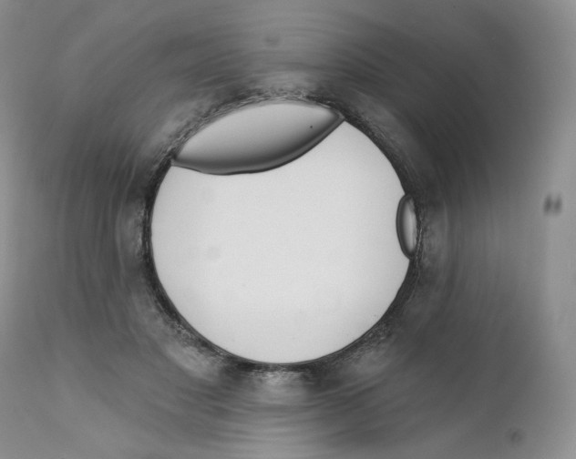 X0000111890501200908201324