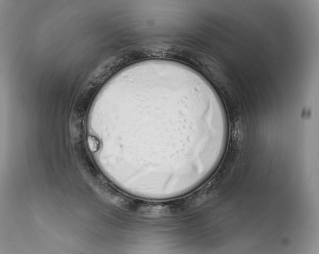 X0000111890503200908201324