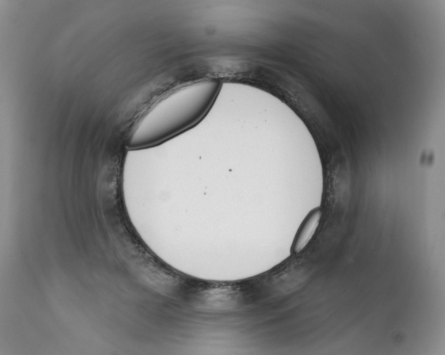 X0000111890505200908201324