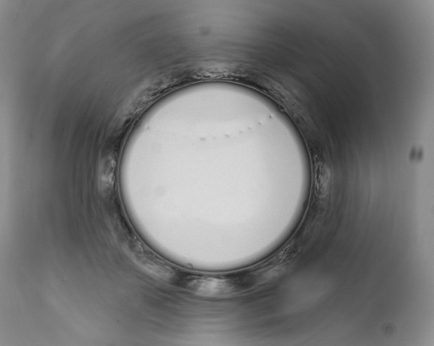 X0000111890507200908201324