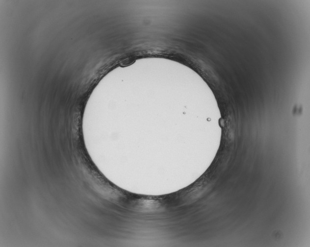 X0000111890509200908201324