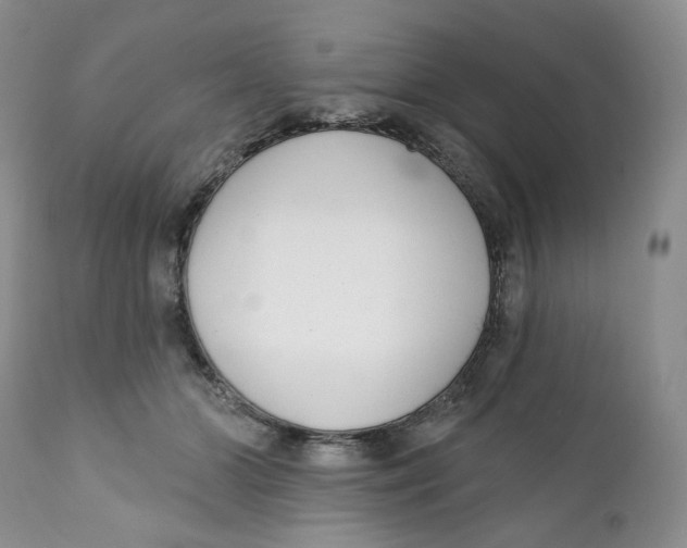 X0000111890510200908201324