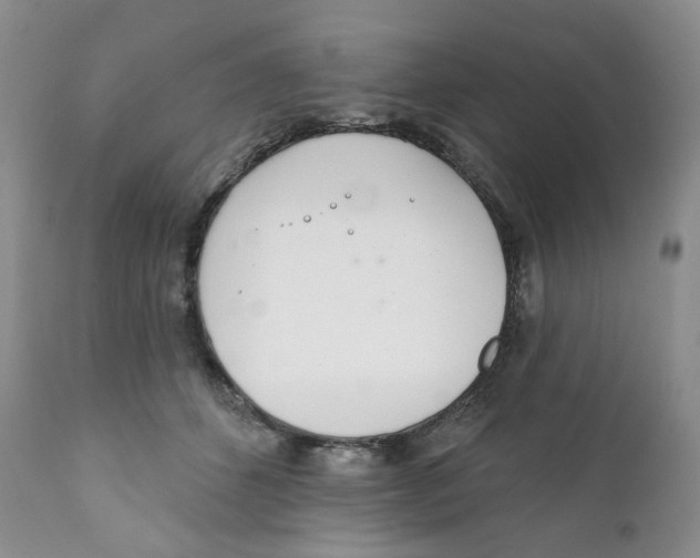 X0000111890512200908201324